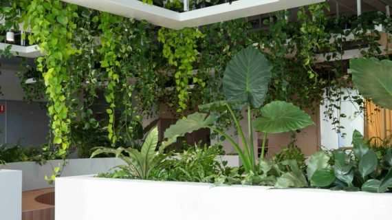 Biophilic-office_Brisbane-CBD2-1024x683